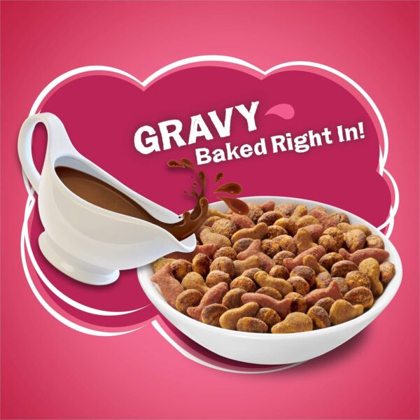 Purina Friskies Dry Cat Food Gravy Swirl'd With Flavors of Chicken - Image 7