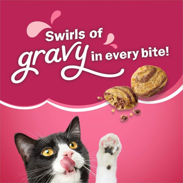 Purina Friskies Dry Cat Food Gravy Swirl'd With Flavors of Chicken - Image 2