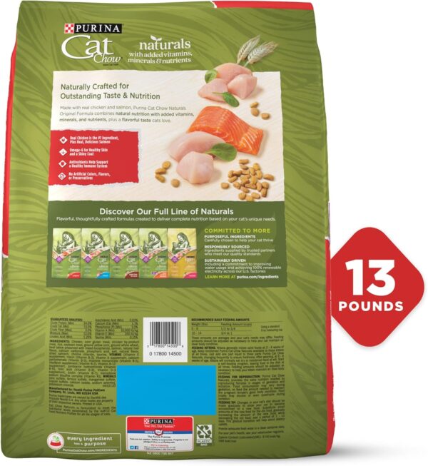 Vitamins, Minerals and Nutrients Dry Cat Food - Image 2