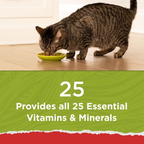 Vitamins, Minerals and Nutrients Dry Cat Food - Image 4